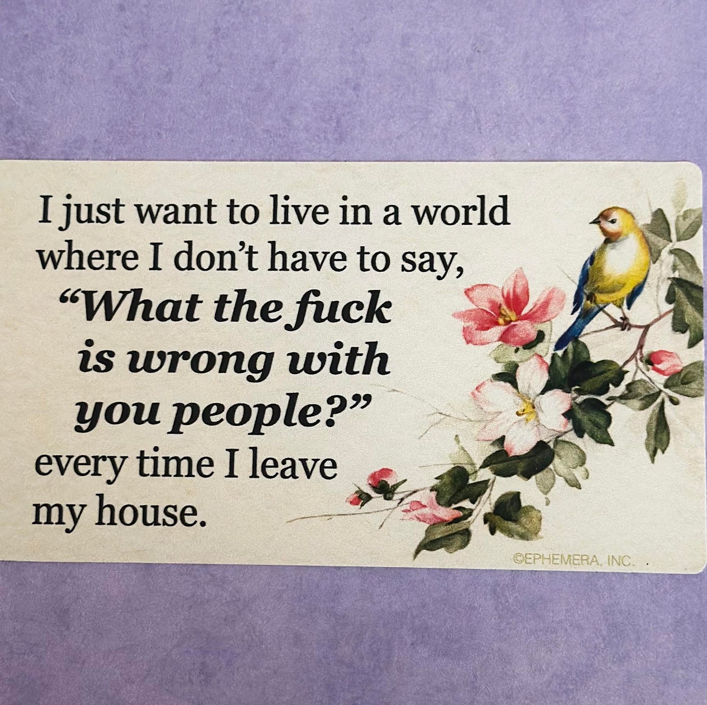 I Just Want To Live In A World Where I Don't Have To Say, "What The Fuck Is Wrong With You People?" Every Time I Leave My House Sticker