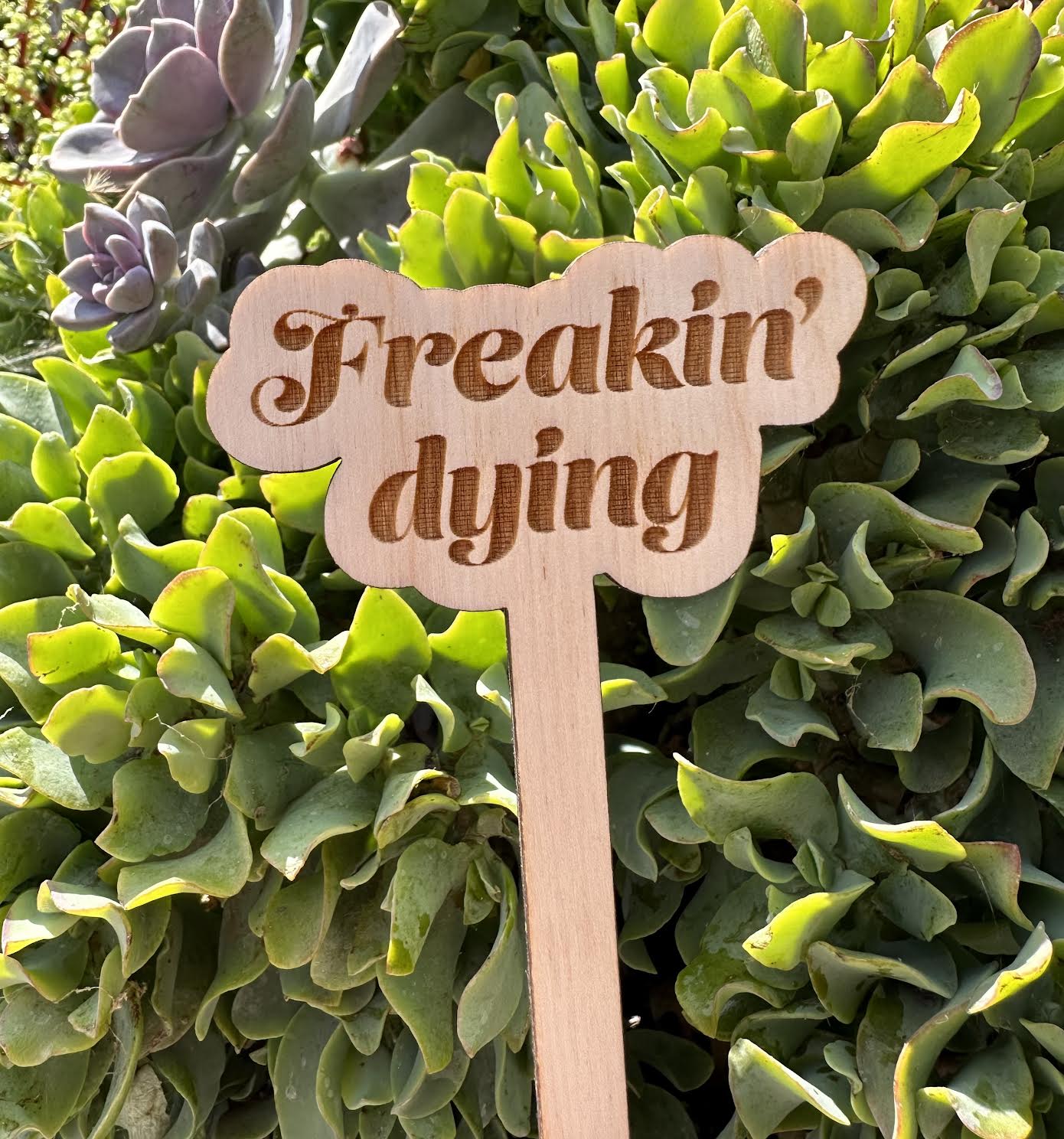 Freakin' Dying Wooden Plant Stake