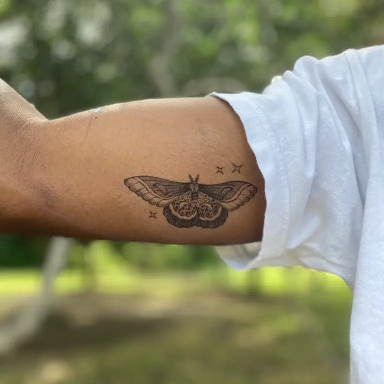 Night Moth Temporary Tattoos