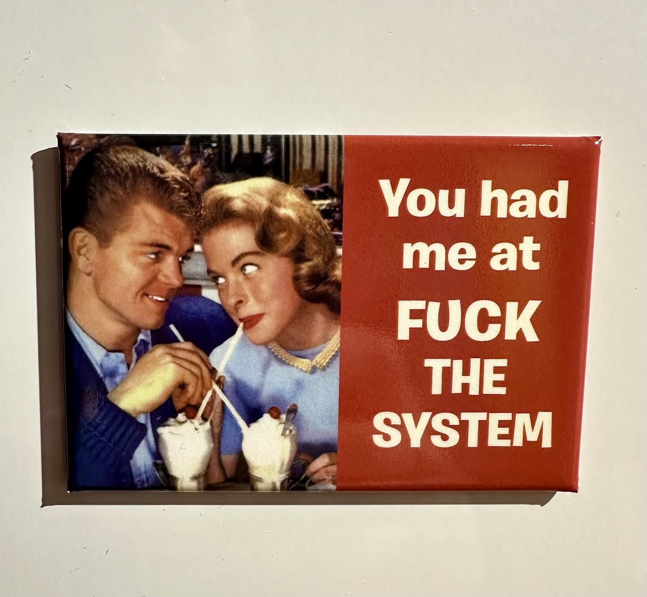 You Had Me At Fuck The System Magnet