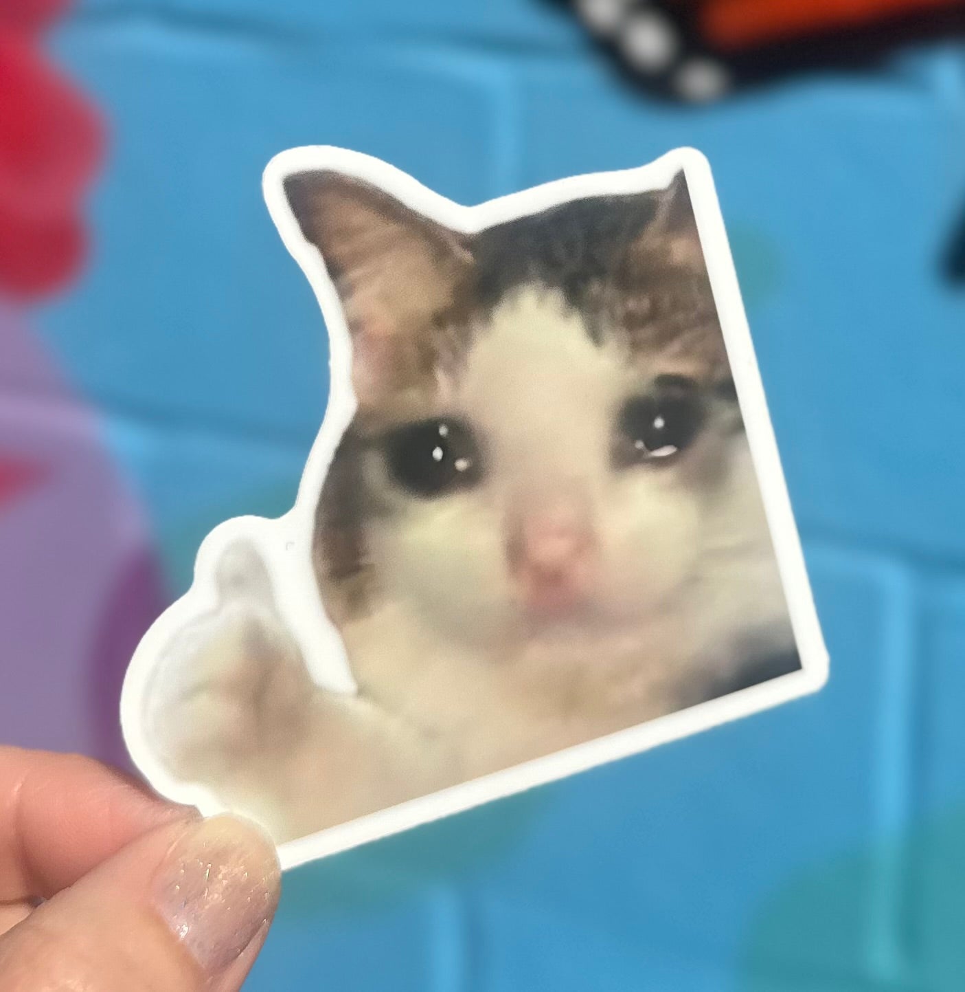 Thumbs Up Cat Sticker