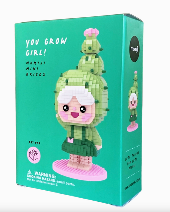 You Grow Girl Mini Bricks Set
