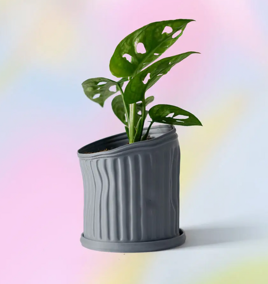 Trash Can Plant Pot
