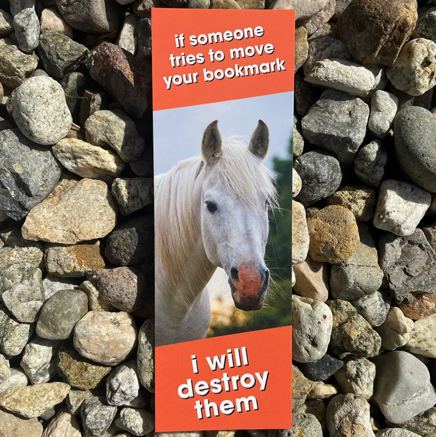 If Someone Tries To Move Your Bookmark I Will Destroy Them Bookmark