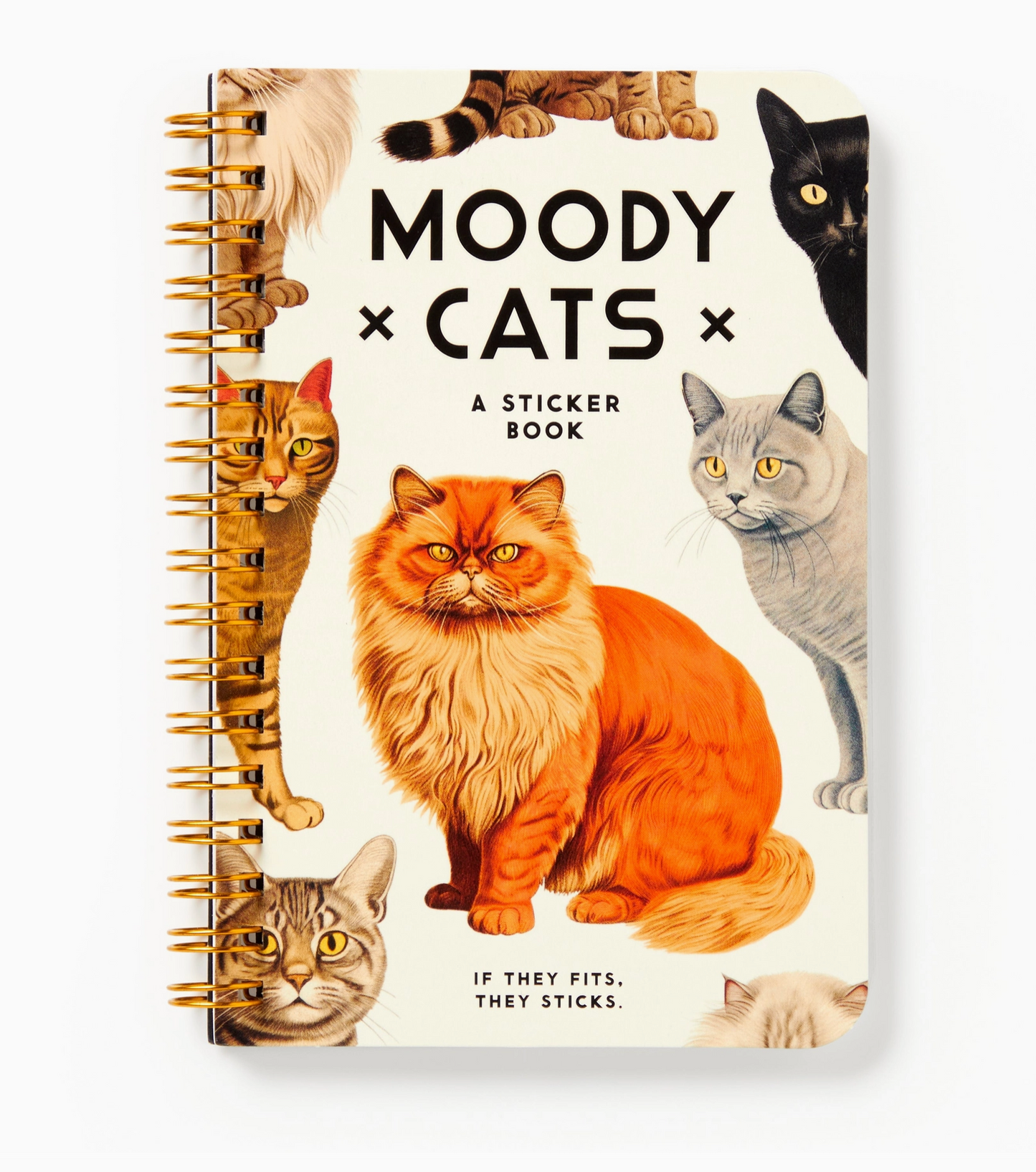 Moody Cats Sticker Book