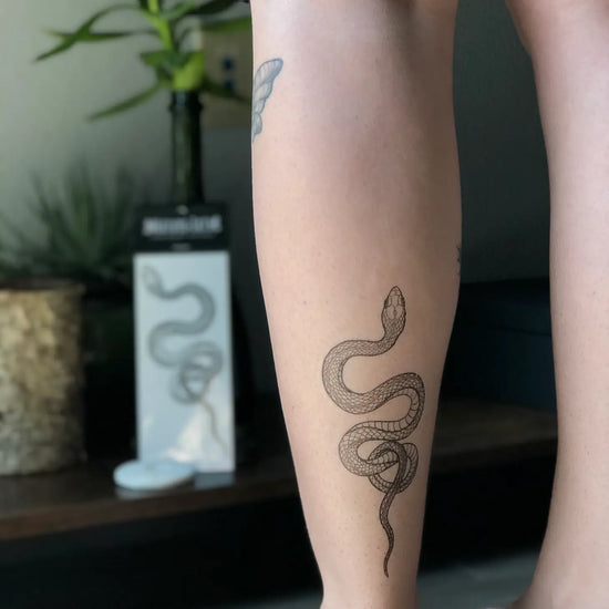 Garden Snake Temporary Tattoos