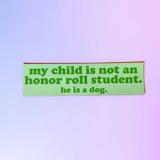 Honor Roll Boy Dog Car Magnet
