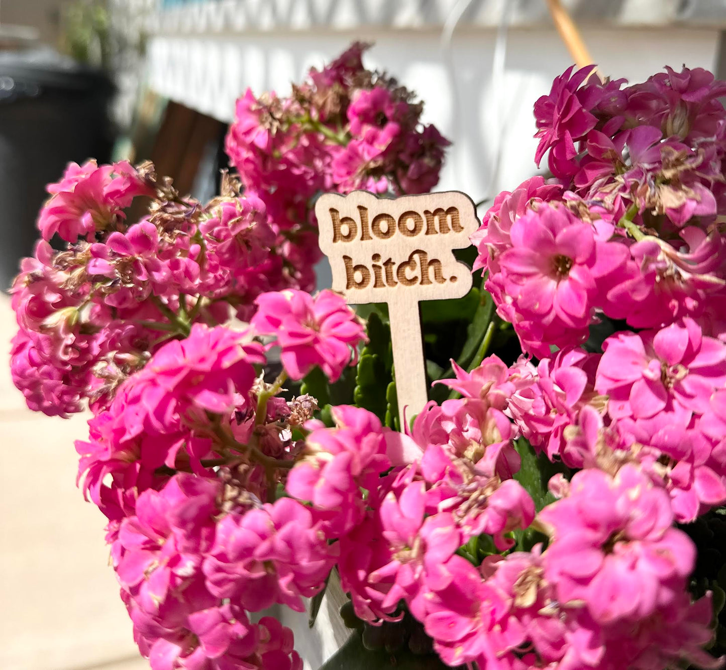 Bloom Bitch Wooden Plant Stake