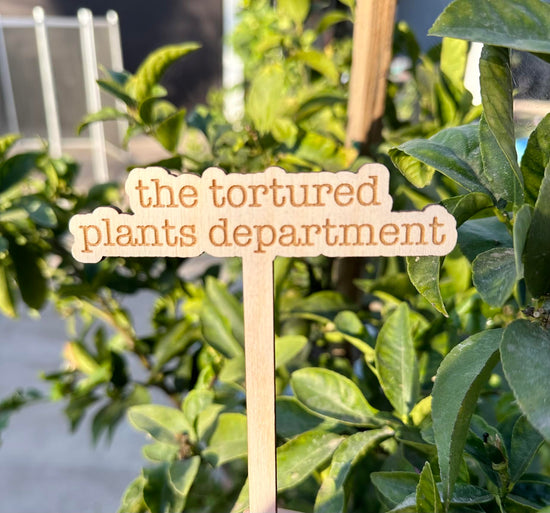 The Tortured Plants Department Wooden Plant Stake