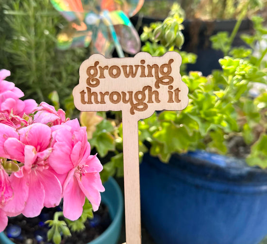 Growing Through It Wooden Plant Stake