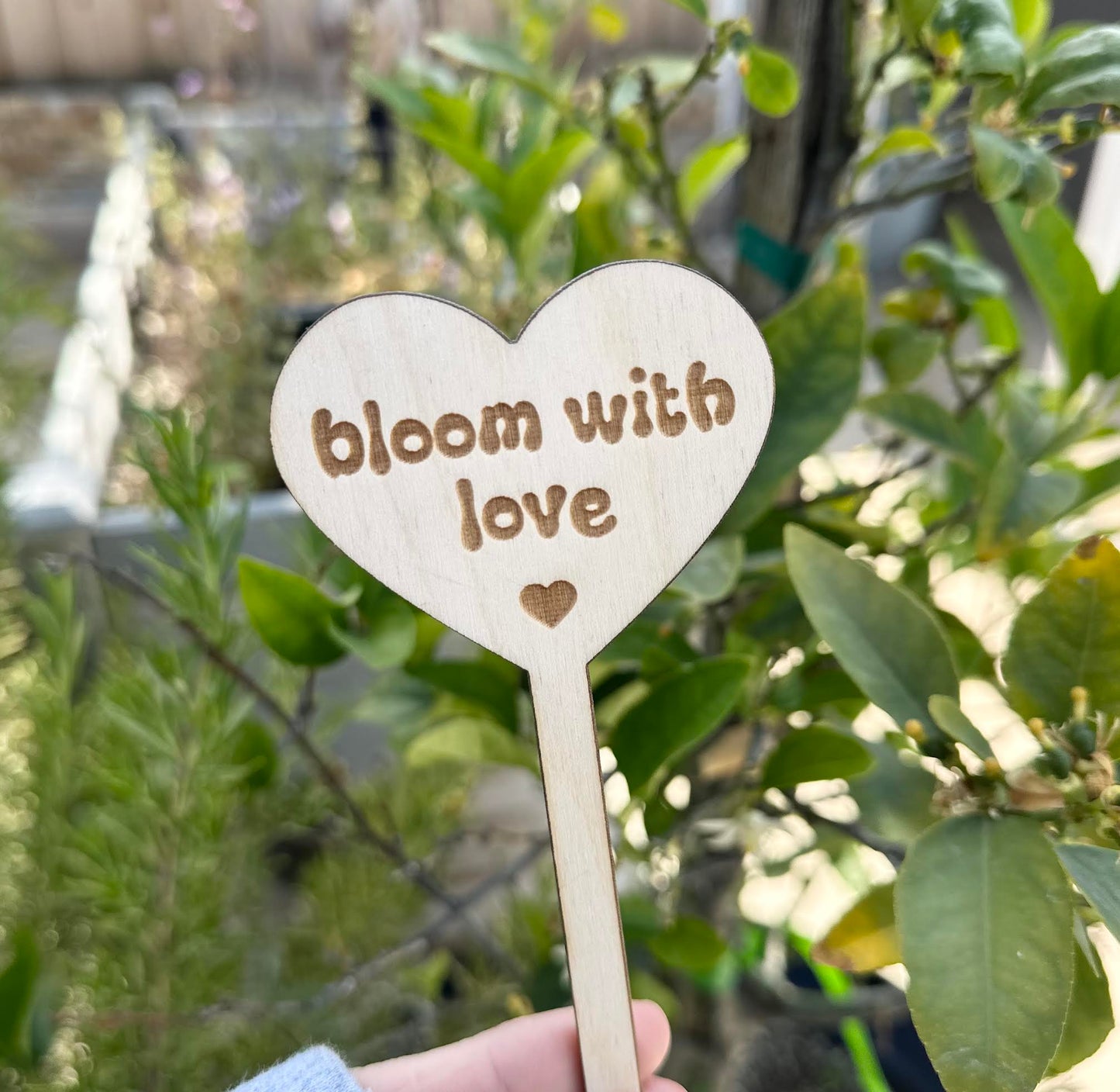 Bloom With Love Wooden Plant Stake