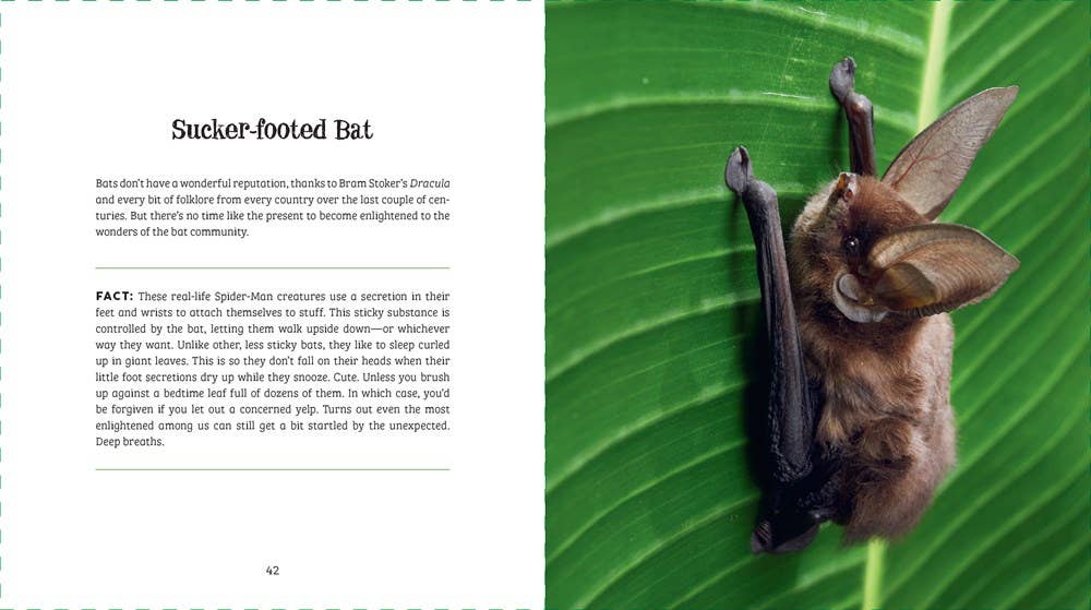 Ugly-Cute What Misunderstood Animals Can Teach Us About Life Book