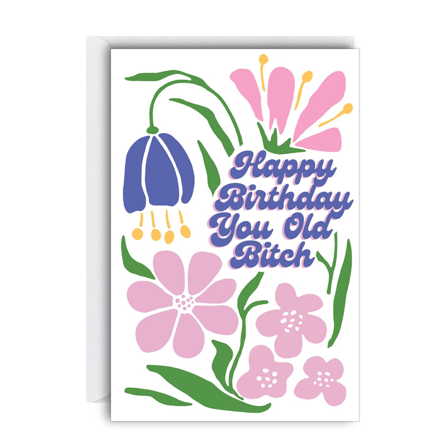 Happy Birthday You Old Bitch Card