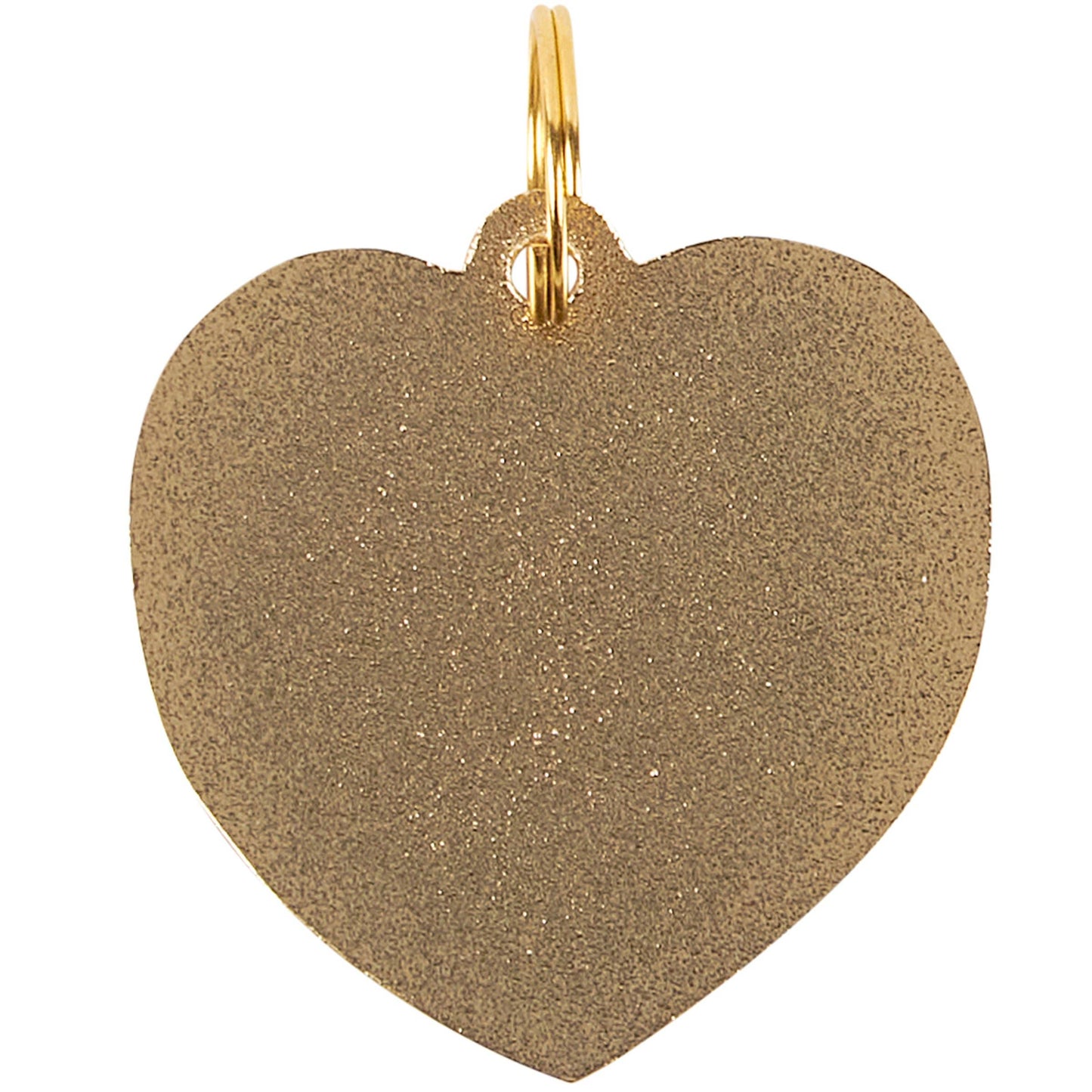 Lover Not A Biter Collar Charm Pet Tag
