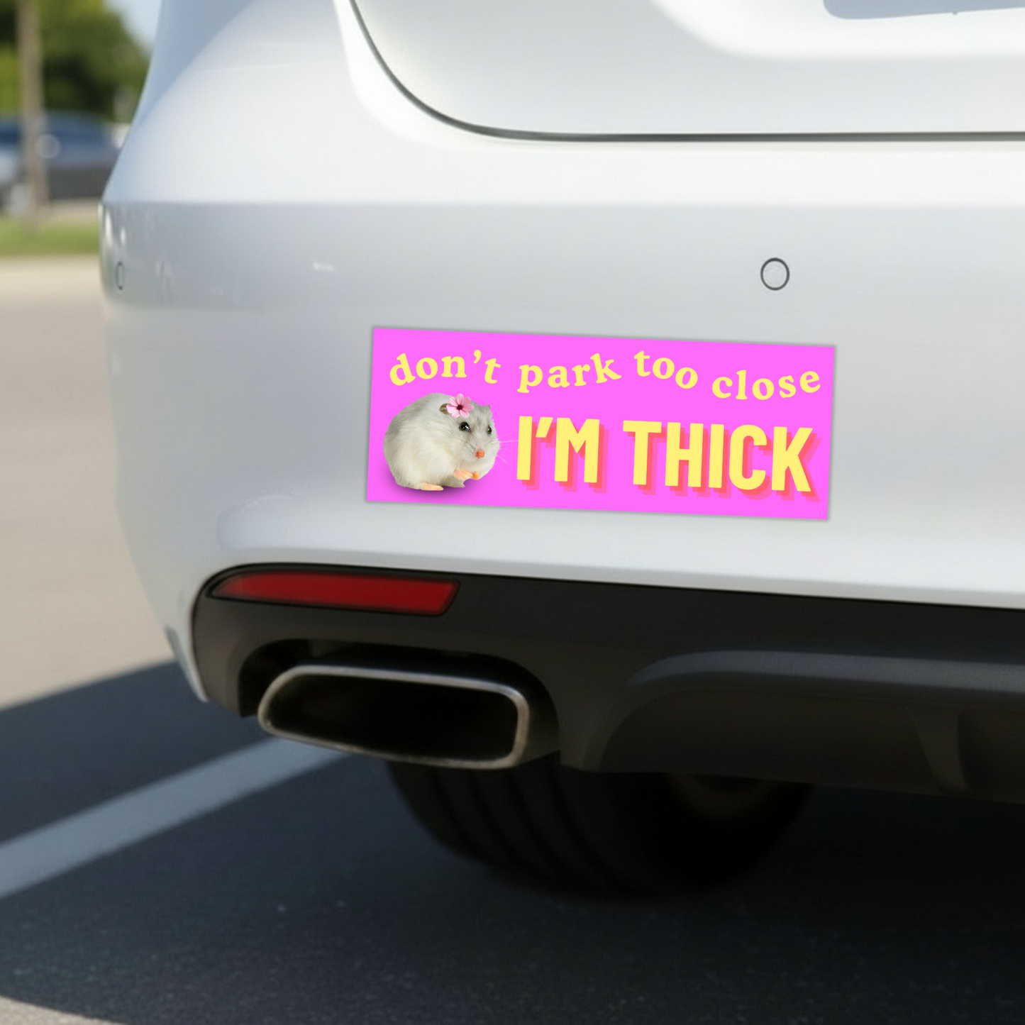 Don't Park Too Close I'm Thick Bumper Magnet
