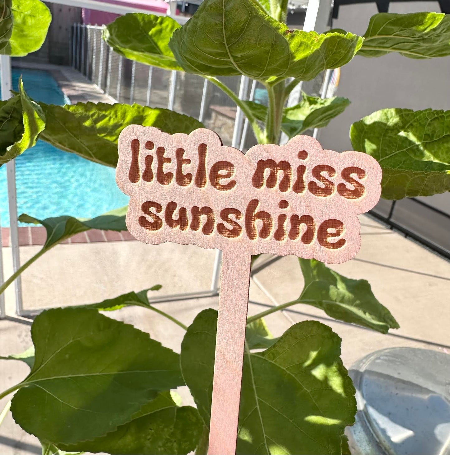 Little Miss Sunshine Wooden Plant Stake