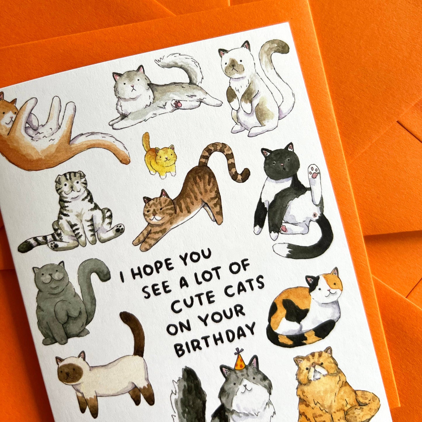 I Hope You See A Lot Of Cute Cats Birthday Card