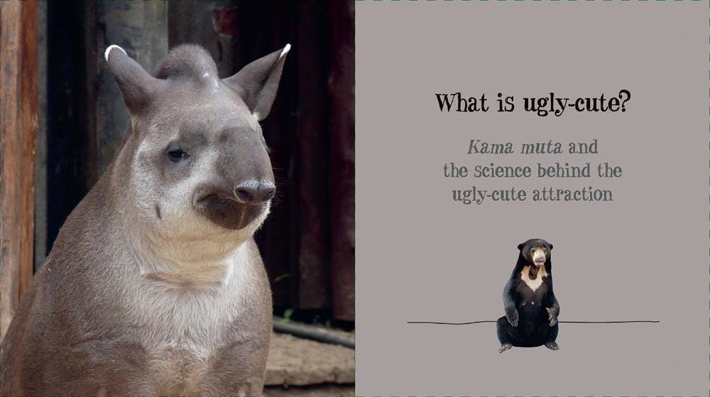 Ugly-Cute What Misunderstood Animals Can Teach Us About Life Book