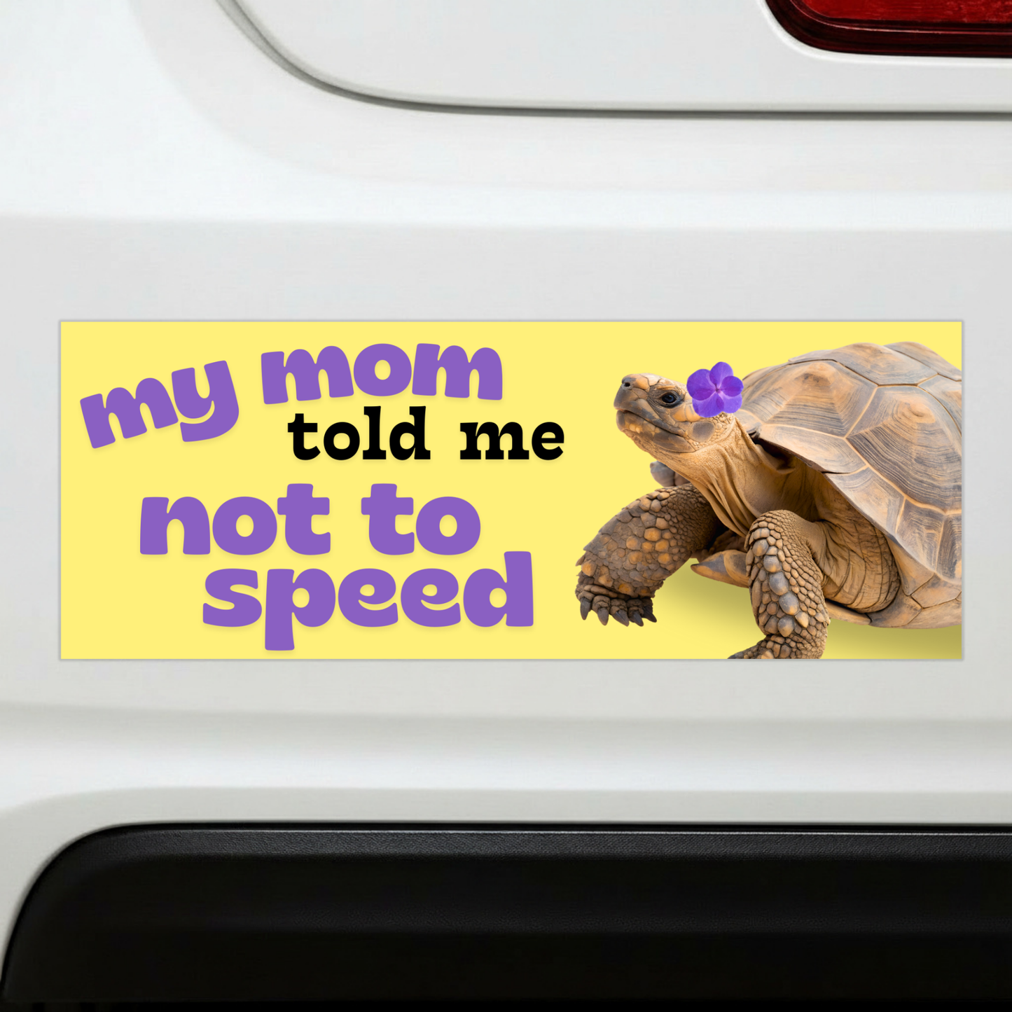 My Mom Told Me Not To Speed Bumper Magnet