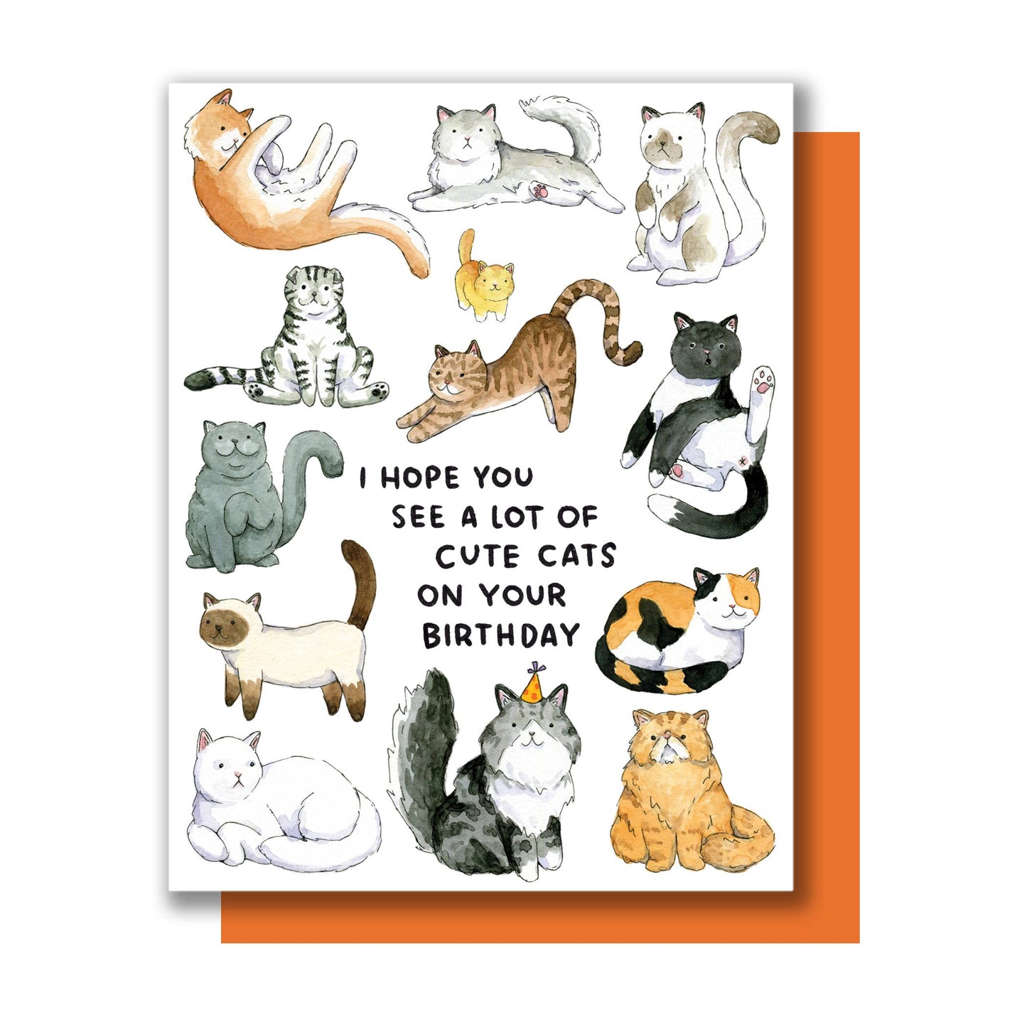 I Hope You See A Lot Of Cute Cats Birthday Card