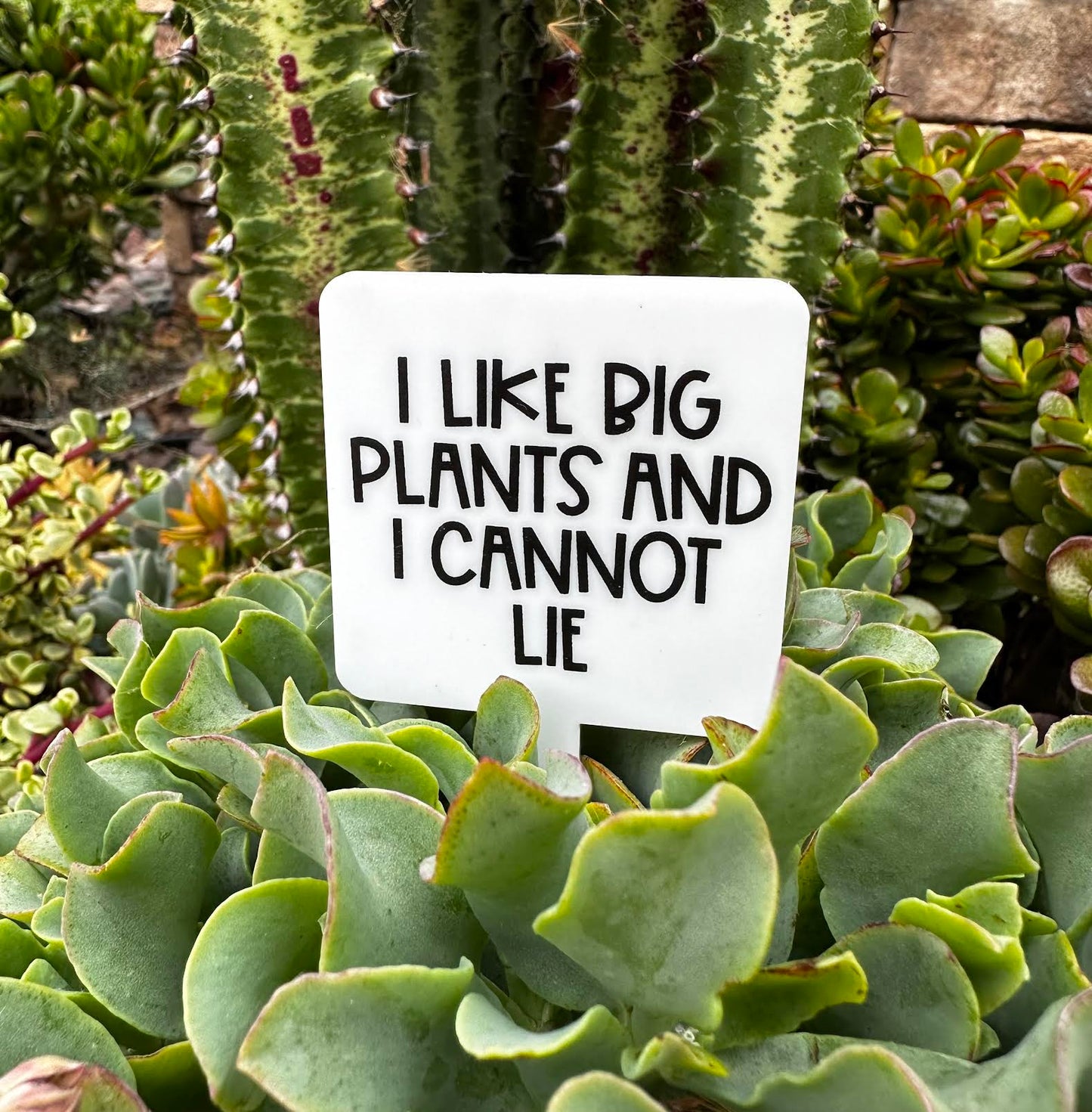 I Like Big Plants And I Cannot Lie Acrylic Plant Stake