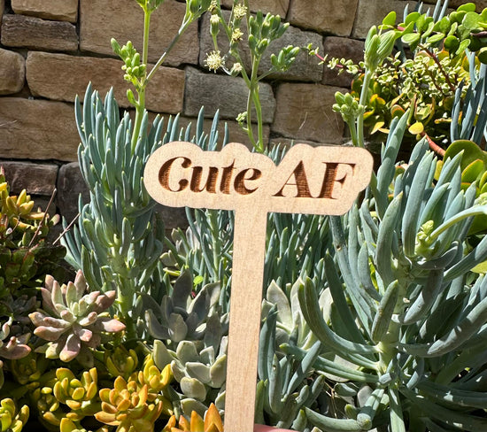 Cute AF Wooden Plant Stake