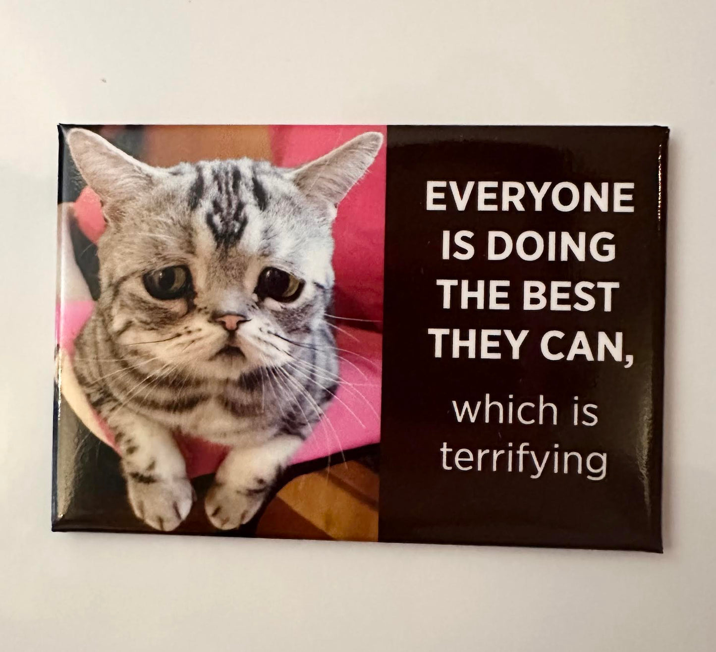 Everyone Is Doing The Best They Can, Which Is Terrifying Magnet