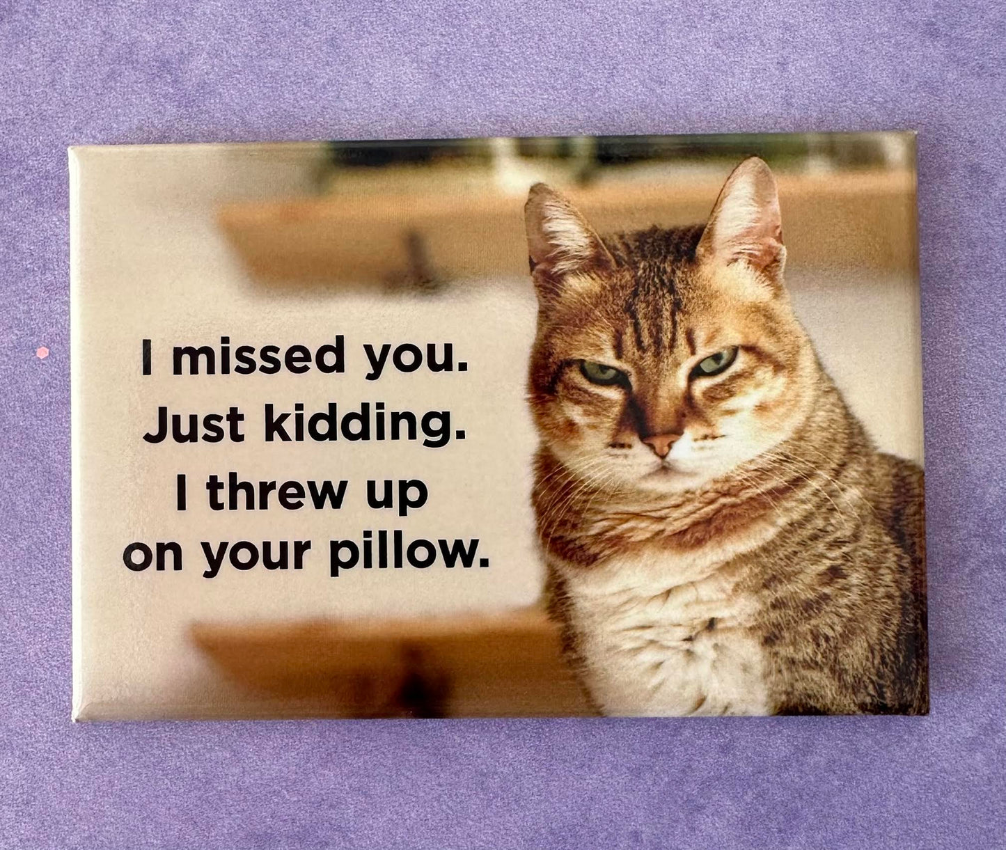 I Missed You. Just Kidding. I Threw Up On Your Pillow Magnet