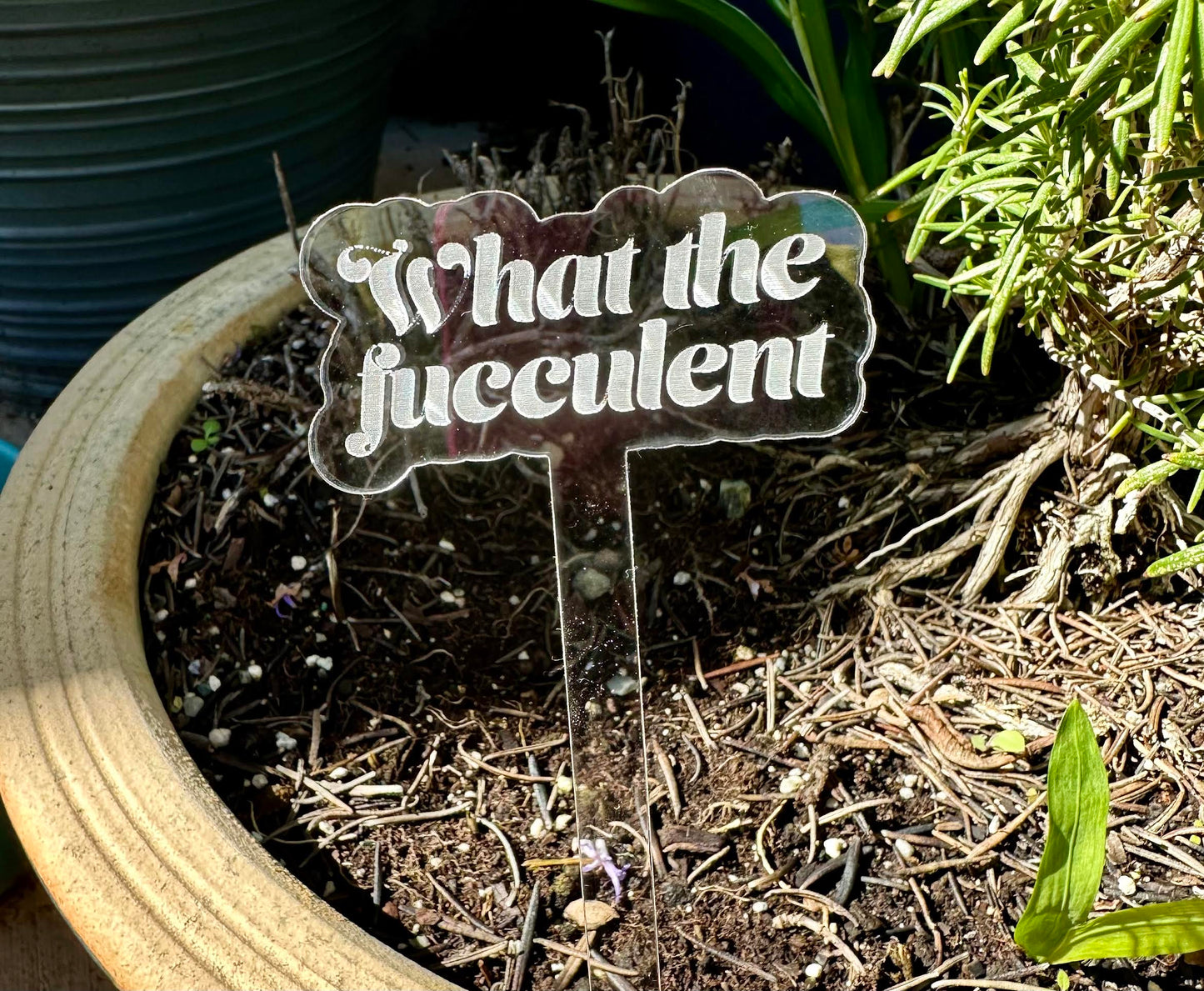 What The Fucculent Acrylic Plant Stake
