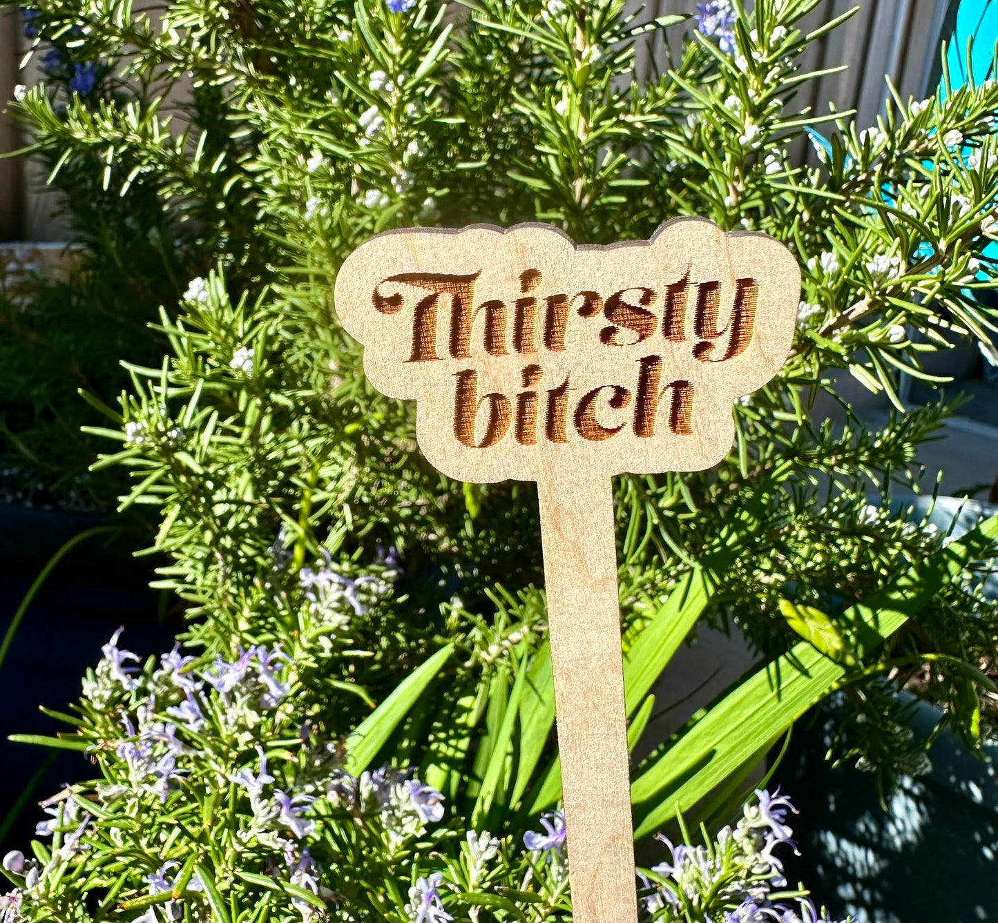 Thirsty Bitch Wooden Plant Stake
