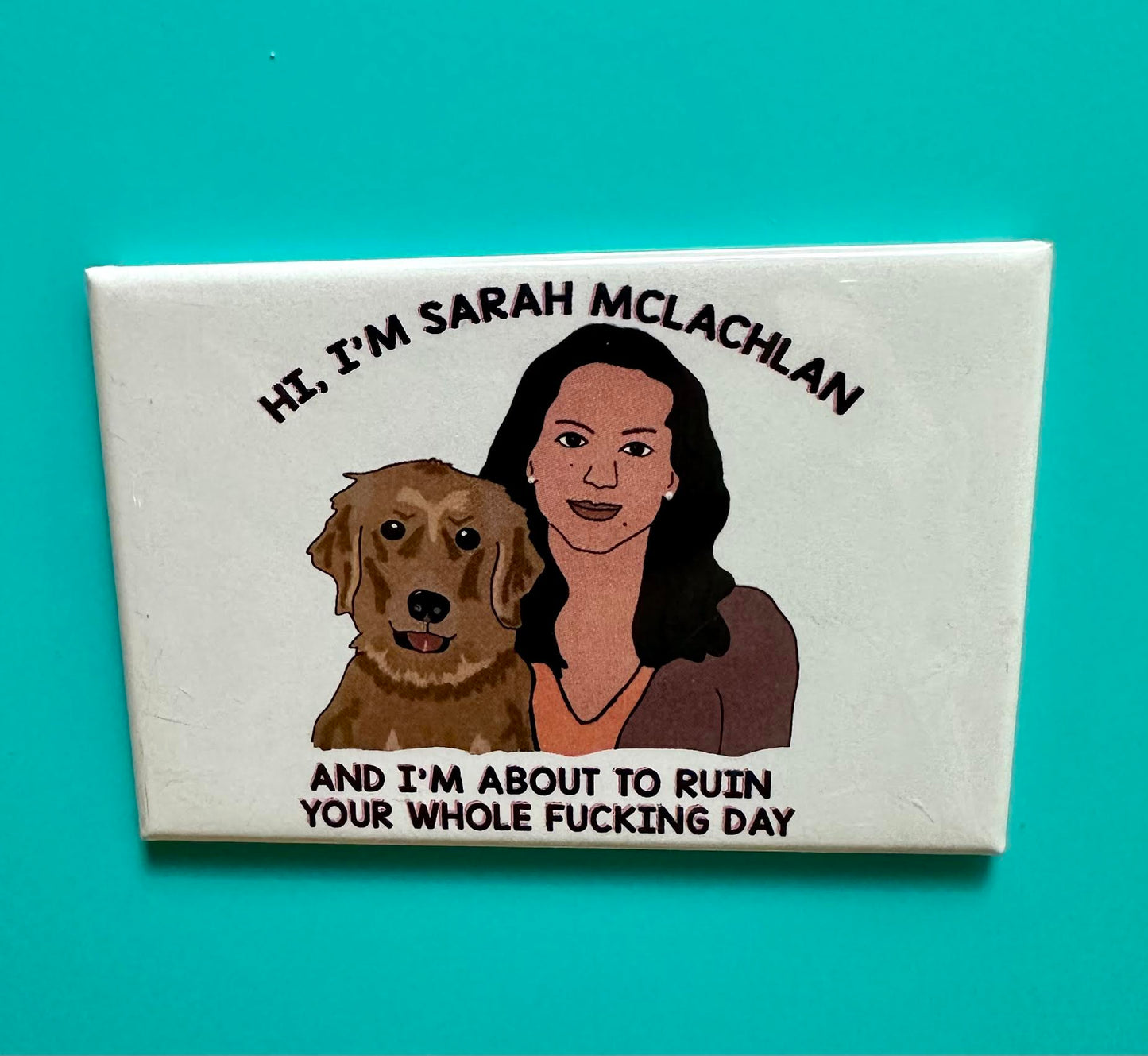 Load image into Gallery viewer, Hi, I&amp;#39;m Sarah Mclachlan Magnet
