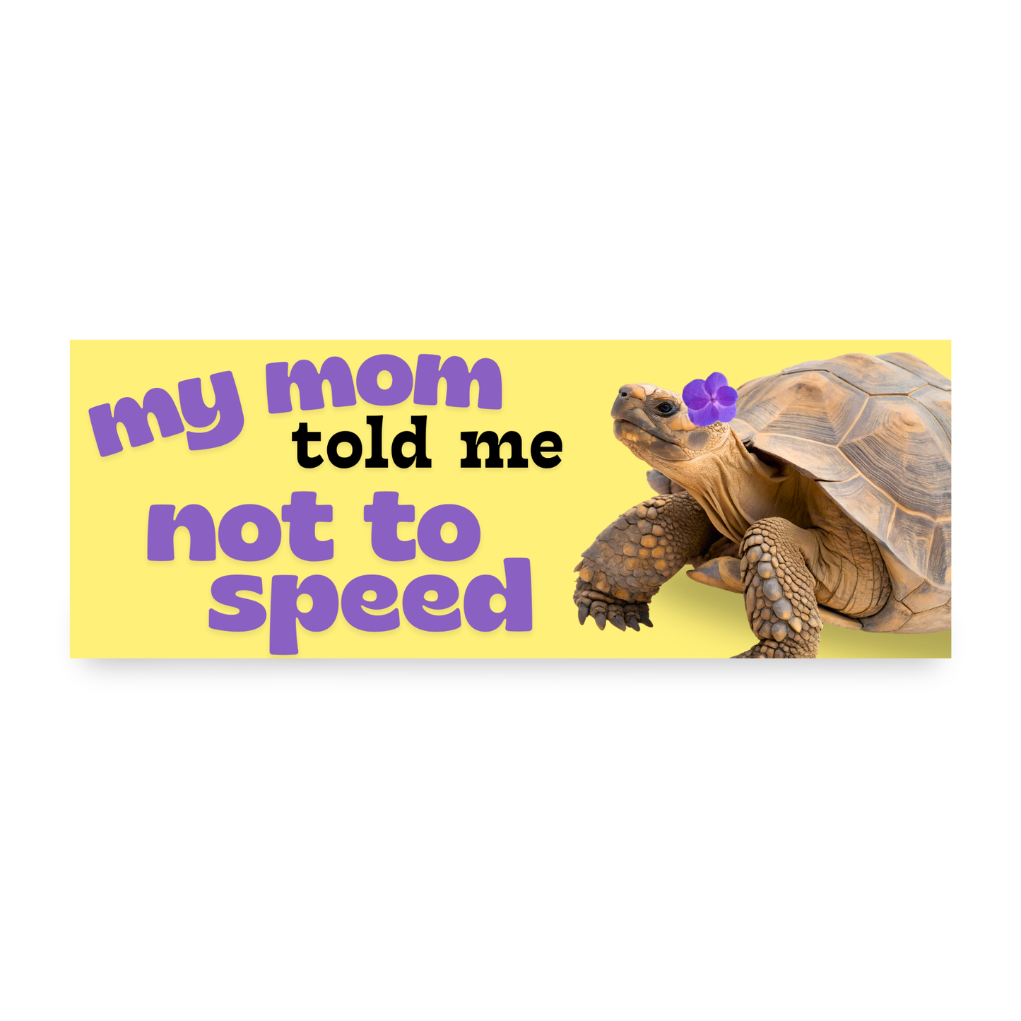 My Mom Told Me Not To Speed Bumper Magnet