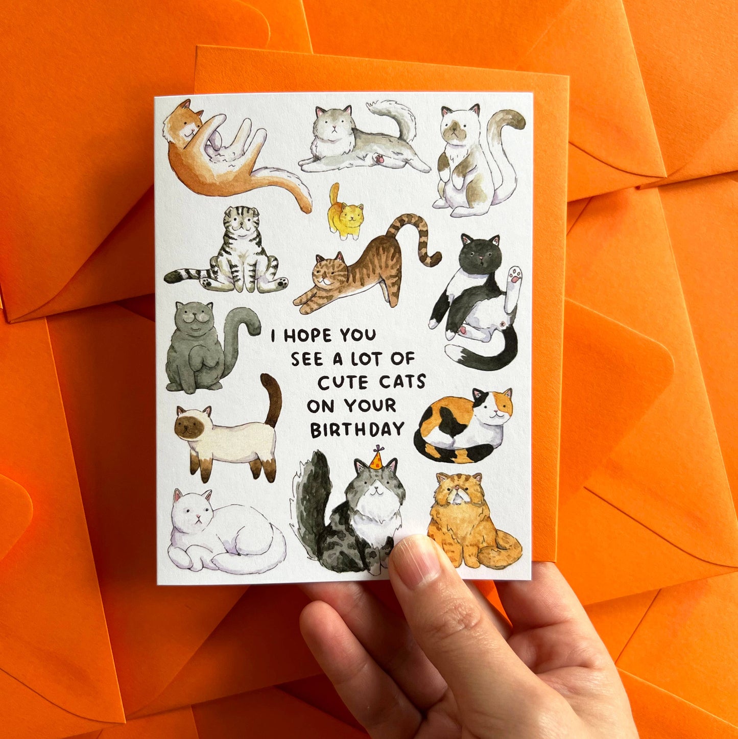 I Hope You See A Lot Of Cute Cats Birthday Card