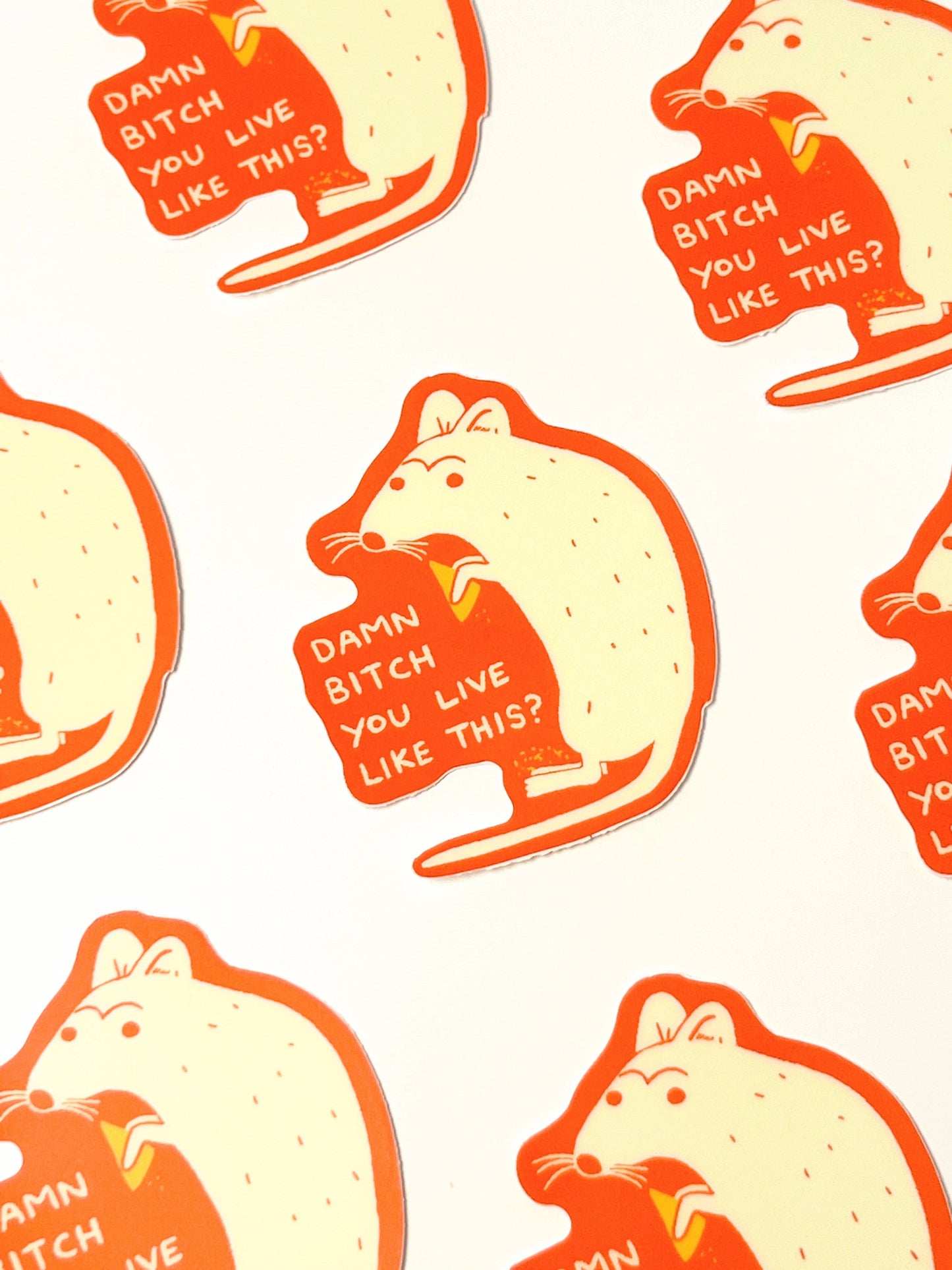 Damn Bitch You Live Like This Sticker