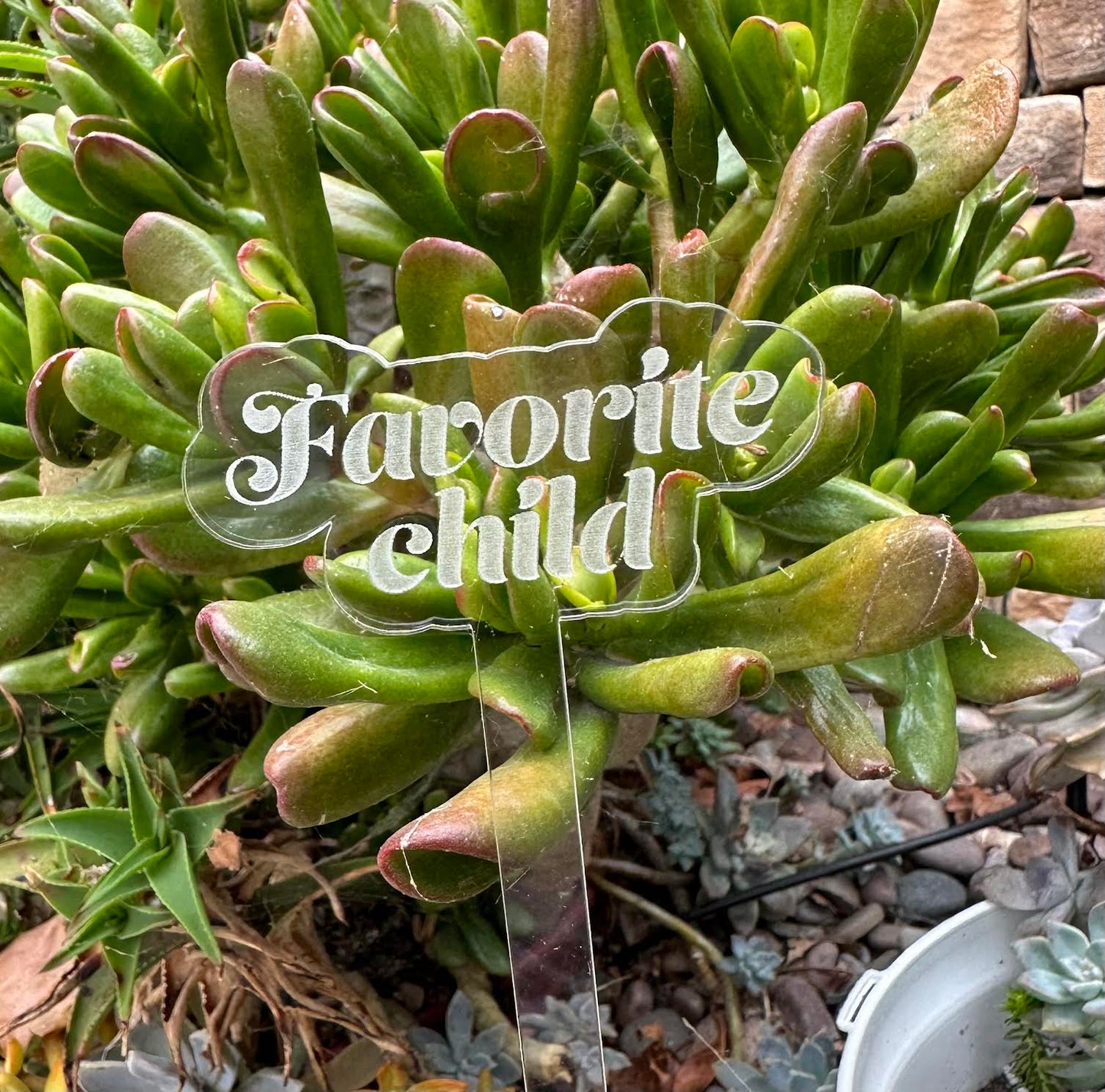 Favorite Child Acrylic Plant Stake