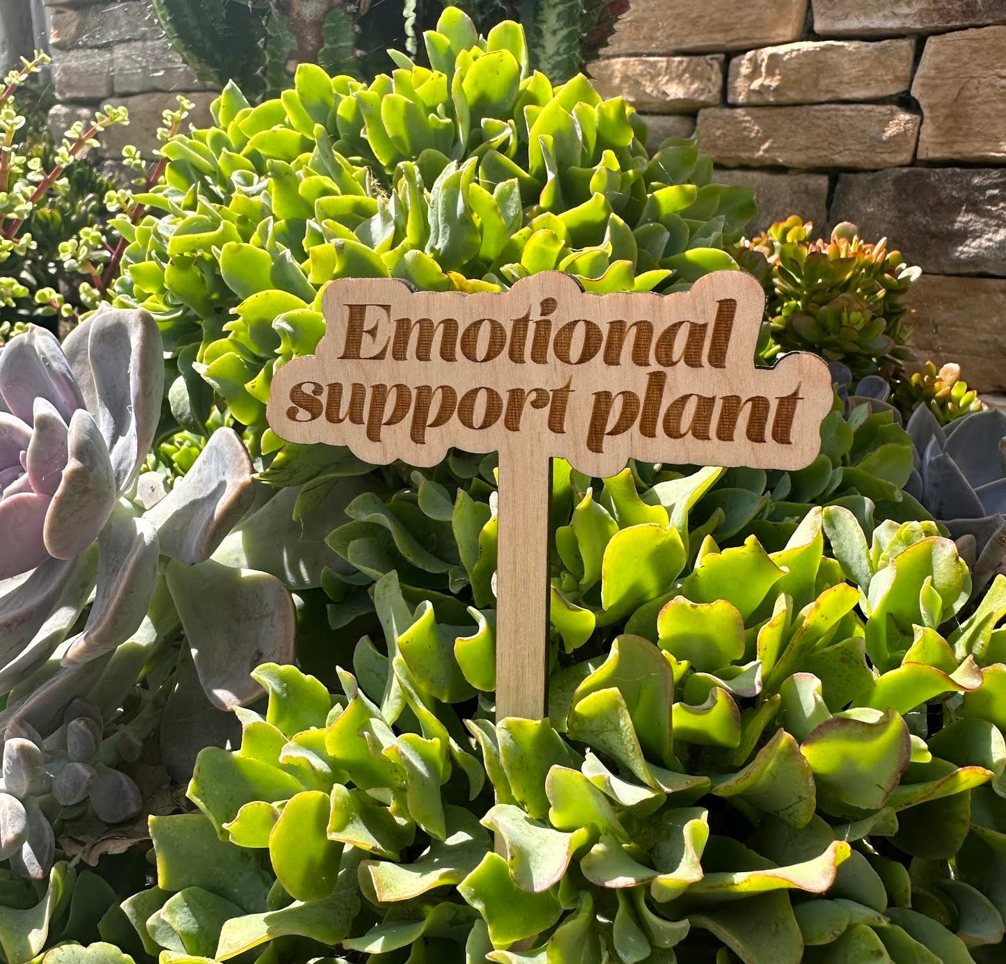 Emotional Support Plant Wooden Plant Stake