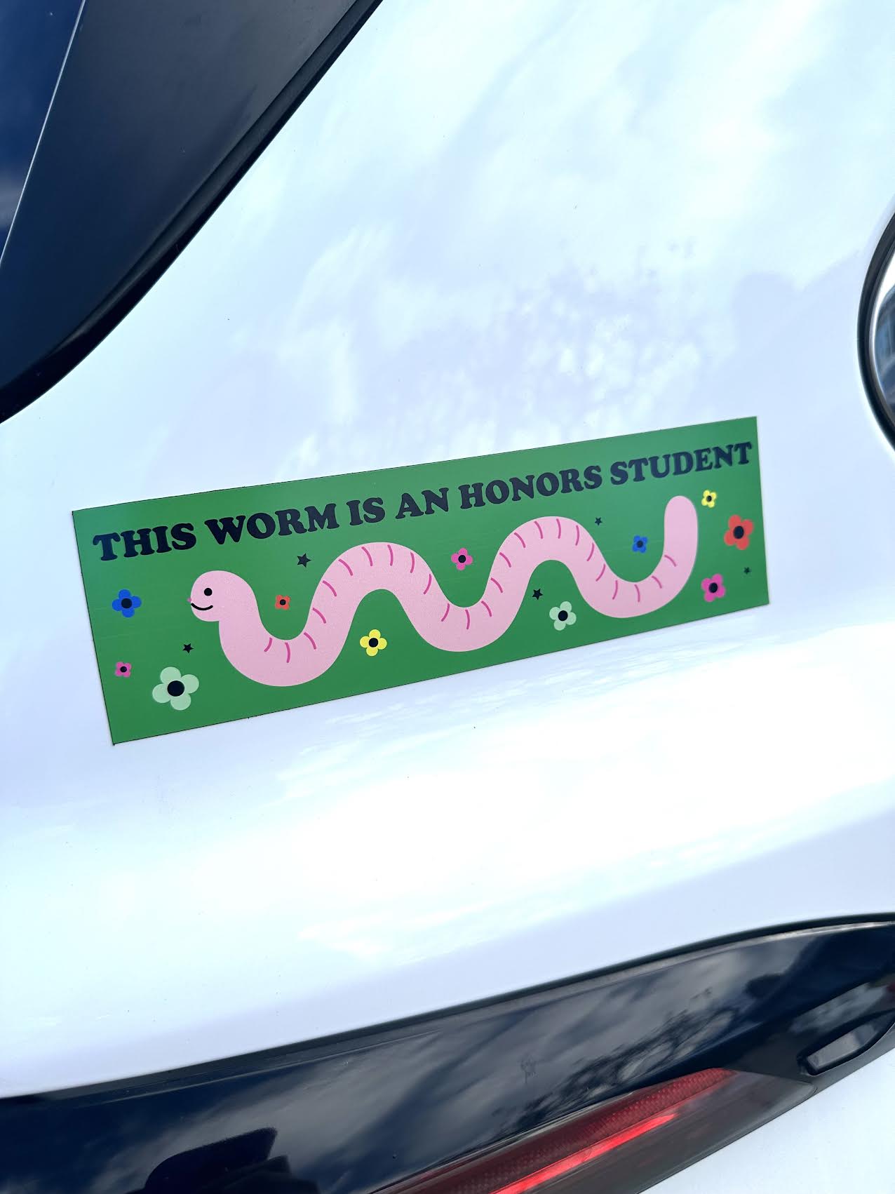 This Worm Is An Honors Student Car Magnet