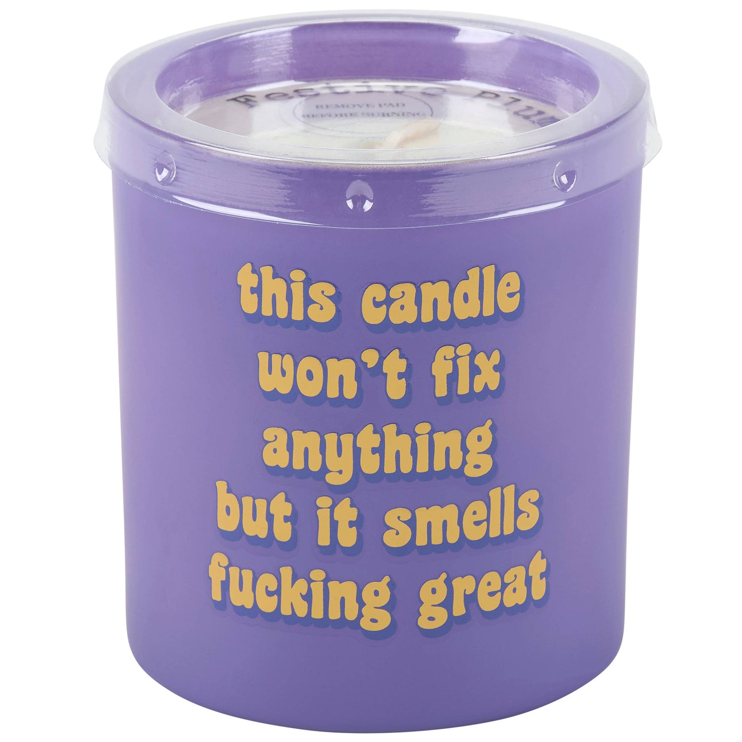 This Candle Won't Fix Anything But It Smells Fucking Great Candle