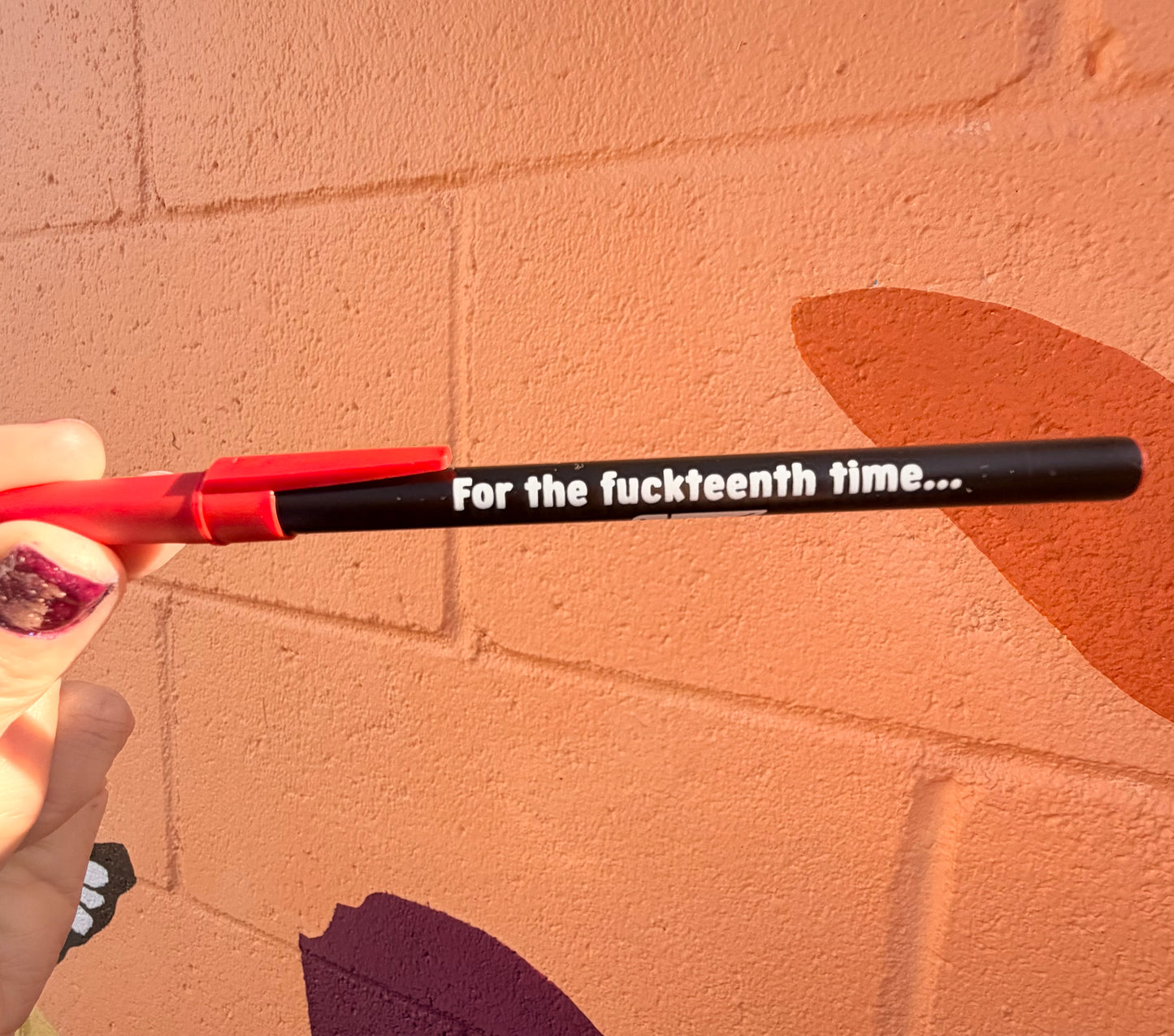 For The Fuckteenth Time Pen