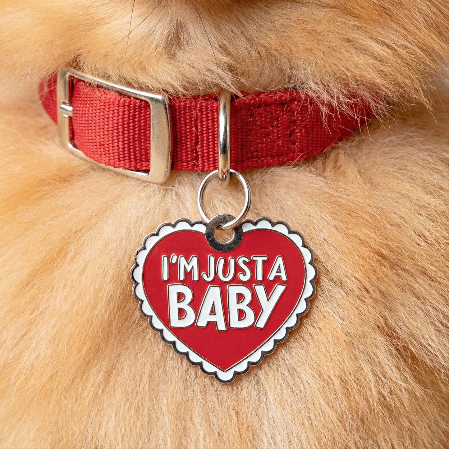 I'm Just a Baby Pet Tag