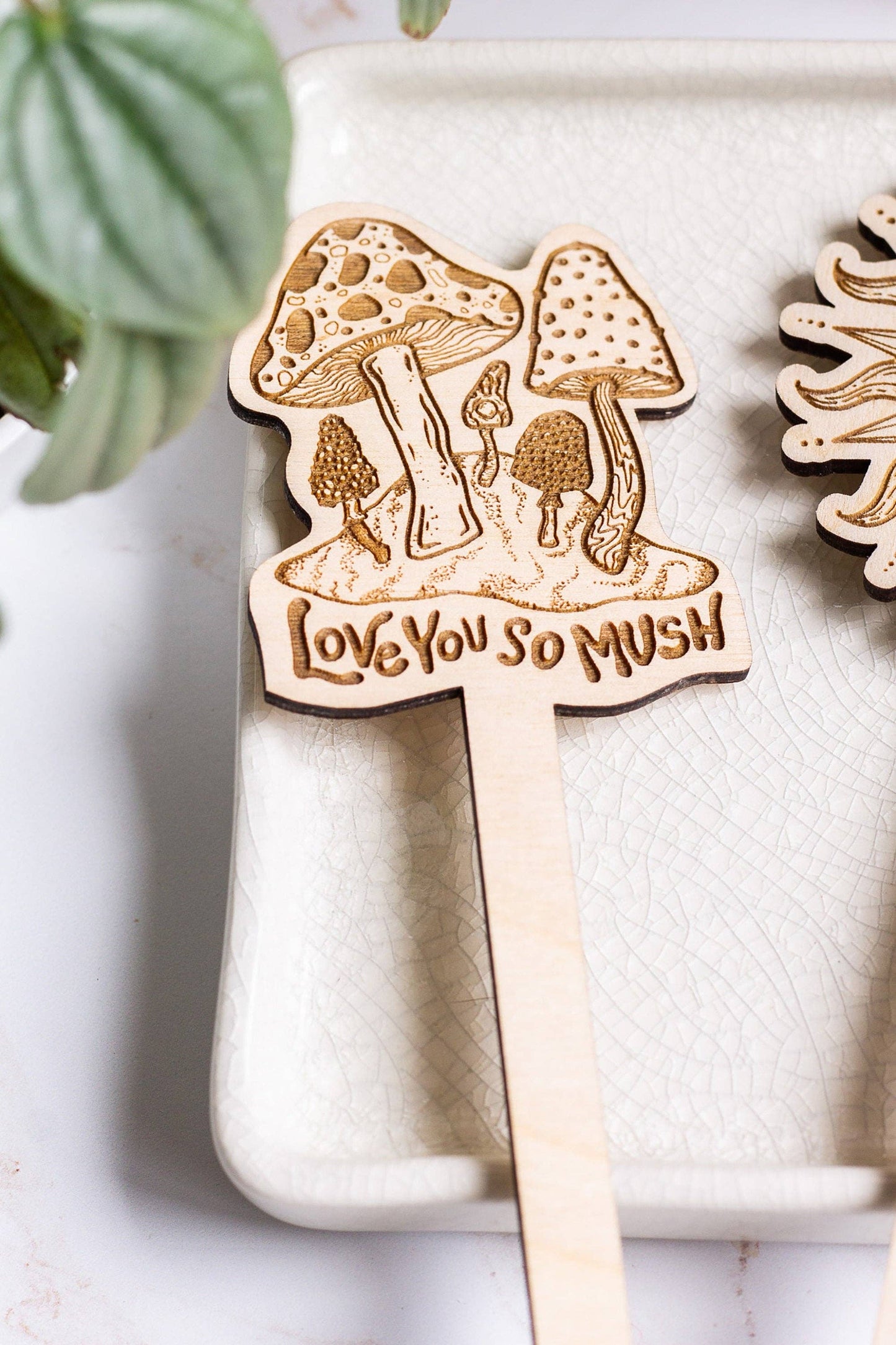 Love You So Much Mushroom Plant Stake