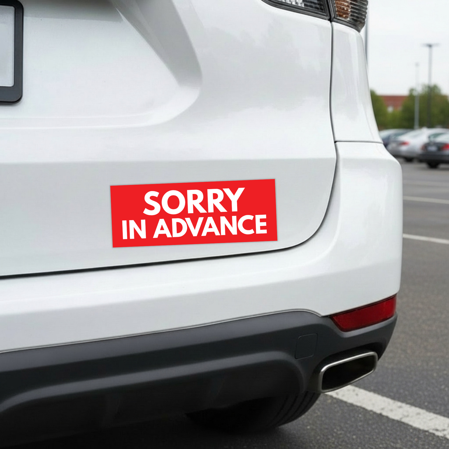 Sorry In Advance Bumper Magnet