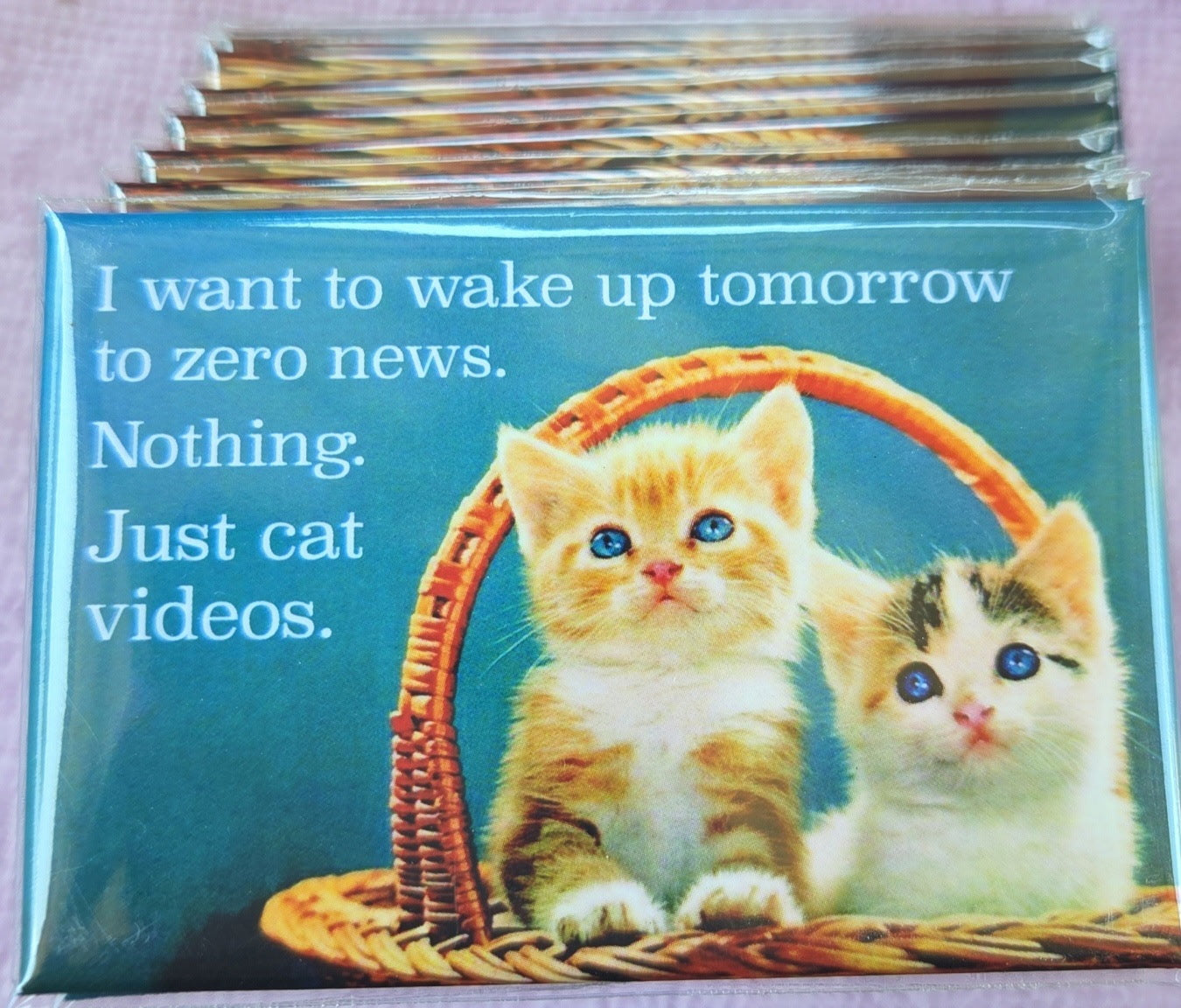 I Want To Wake Up Tomorrow To Zero News. Nothing. Just Cat Videos Magnet