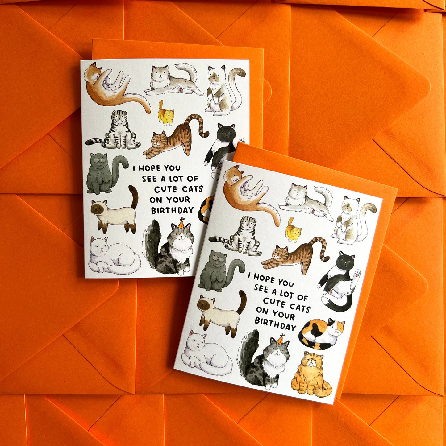 I Hope You See A Lot Of Cute Cats Birthday Card