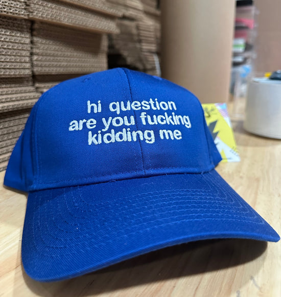 Hi Question Are You Fucking Kidding Me Embroidered Hat