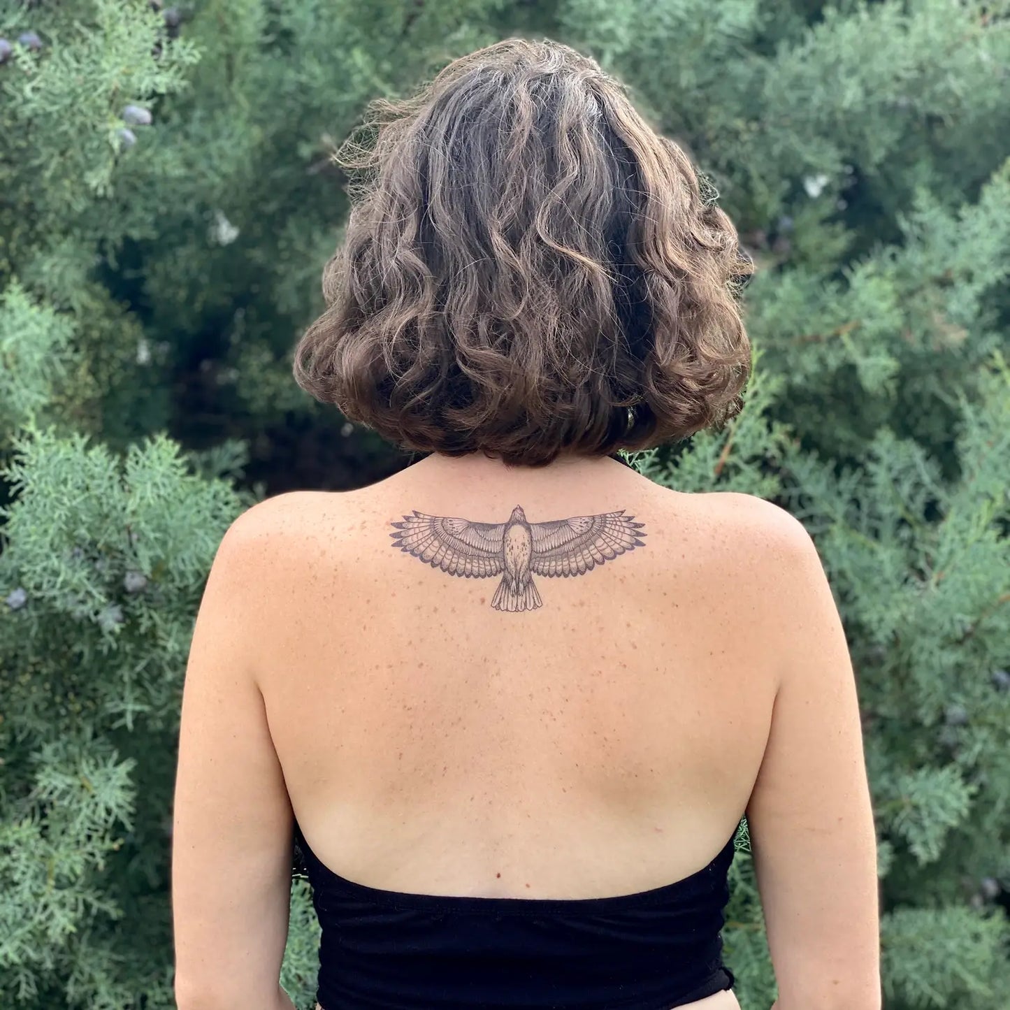 Hawk Temporary Tattoos