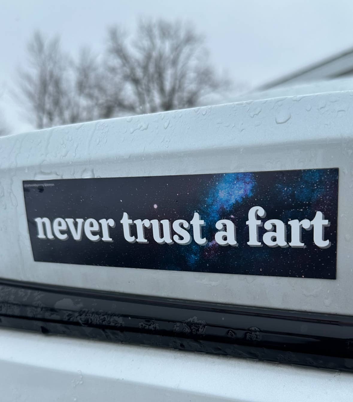 Never Trust A Fart Car Bumper Magnet
