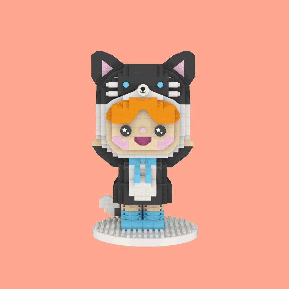 Happy Cat Mini Brick Set