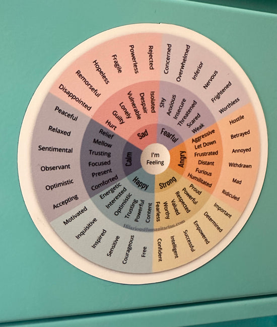 Wheel Of Emotions Magnet