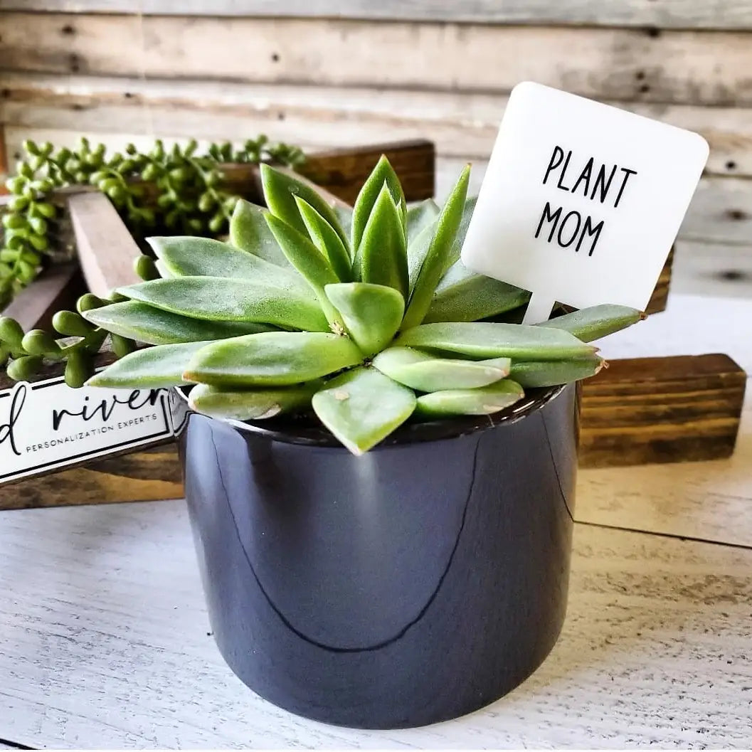 Plant Mom Acrylic Plant Stake